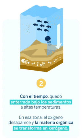 ¿qué es el petróleo?