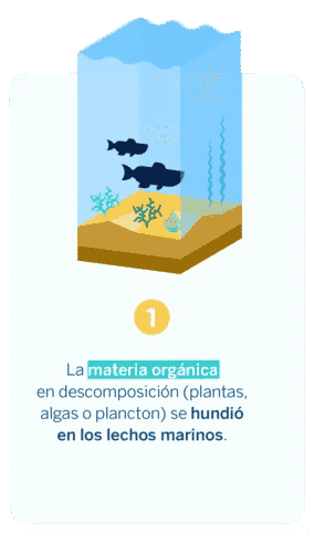 ¿qué es el petróleo?