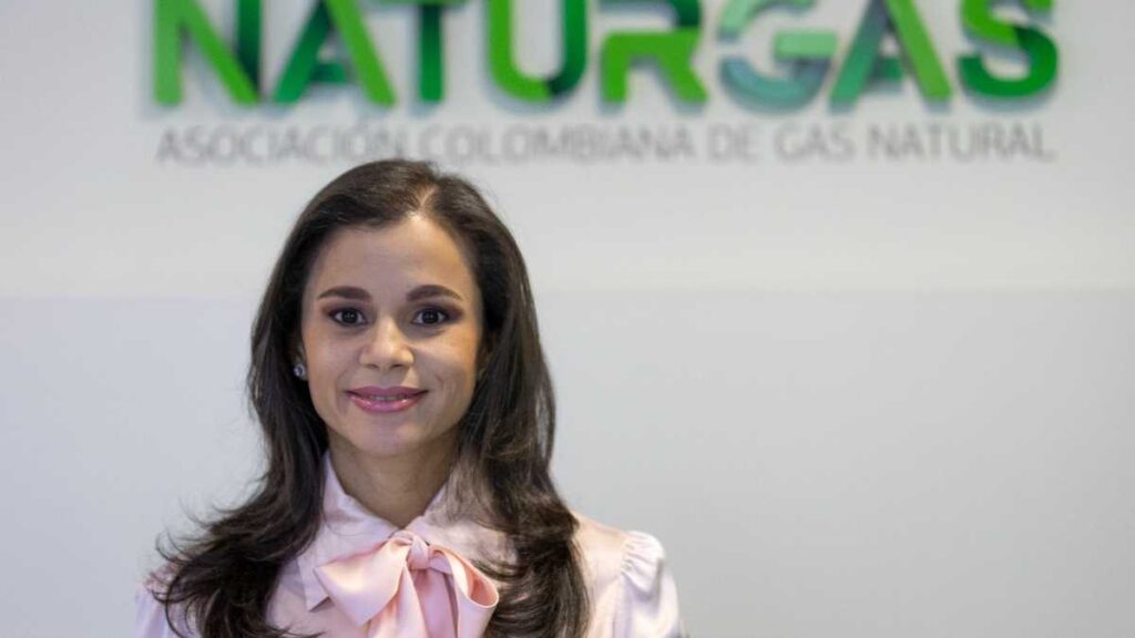 Naturgas advierte que aumento en tarifas de energía no es por importación de gas natural