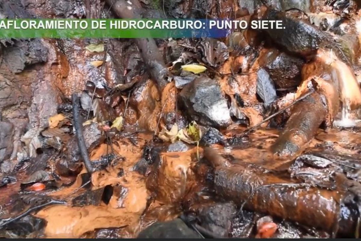 Afloramientos aceitosos y de gas mantienen en alerta a comunidad de san luis de gaceno