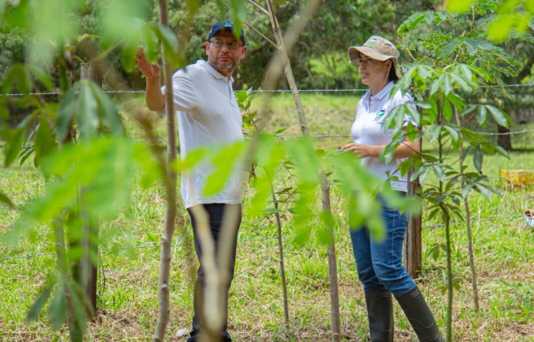 Proyecto carbono y humedales en colombia: ¿qué es y para qué le sirve al país?