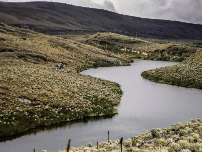 Anla: los ejes de la reforma que se hará a la licencia ambiental